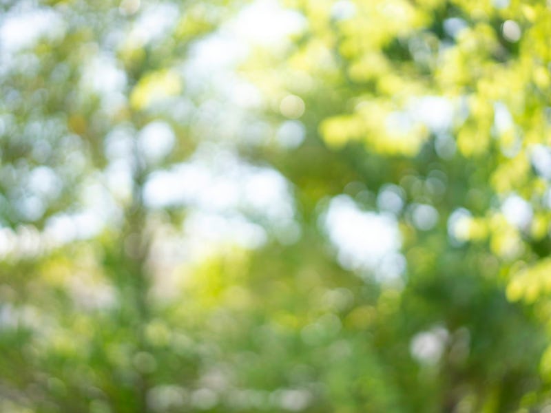 Nearsightedness is also known as myopia.
