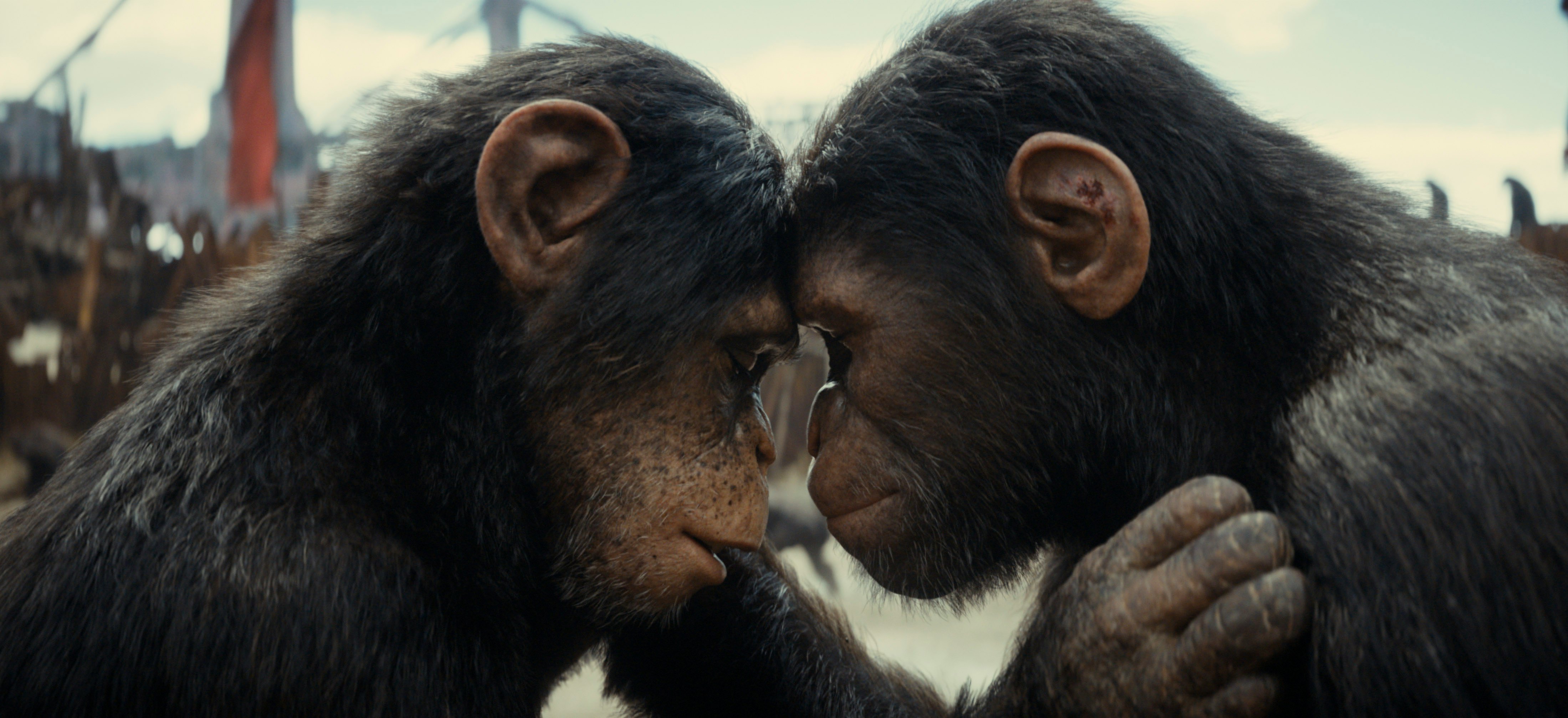 'Kingdom of the Planet of the Apes' Raises the Question: How Intelligent Are Apes?