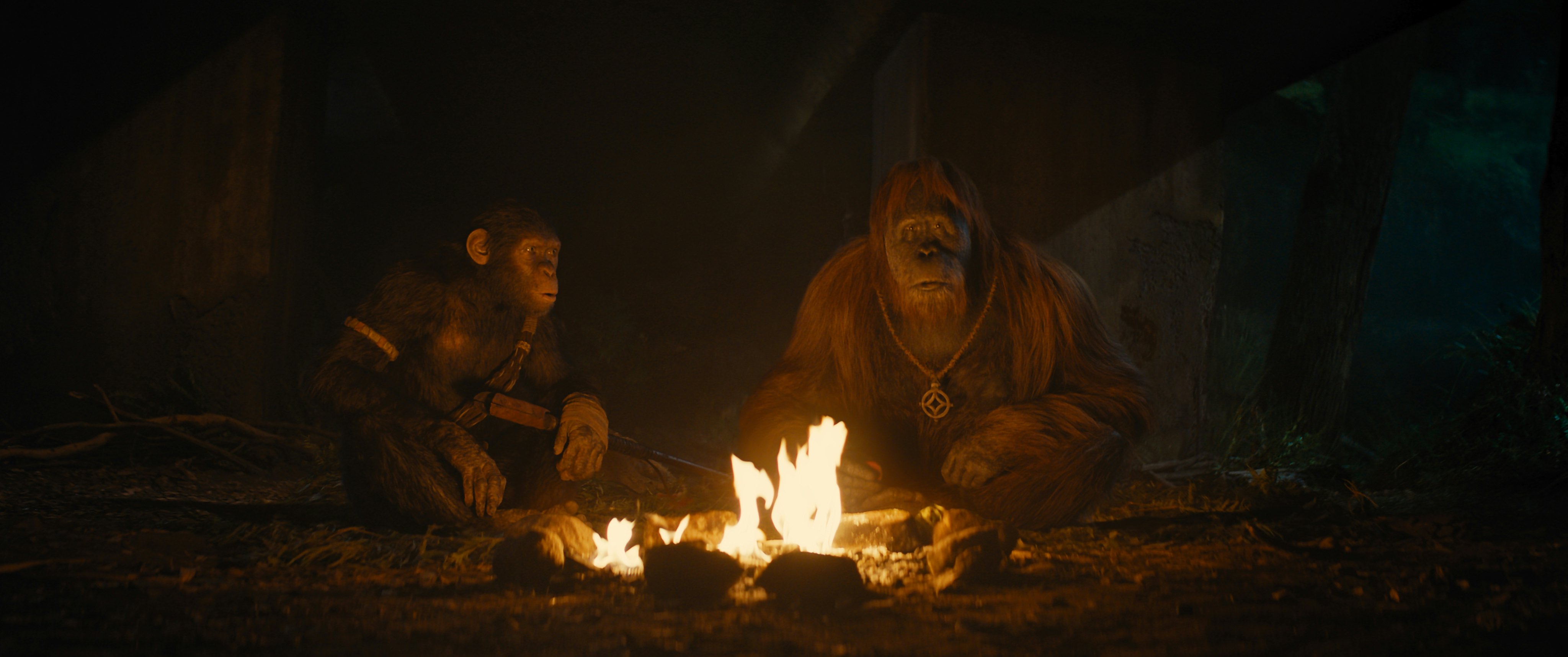 'Kingdom of the Planet of the Apes' Raises the Question: How Intelligent Are Apes?