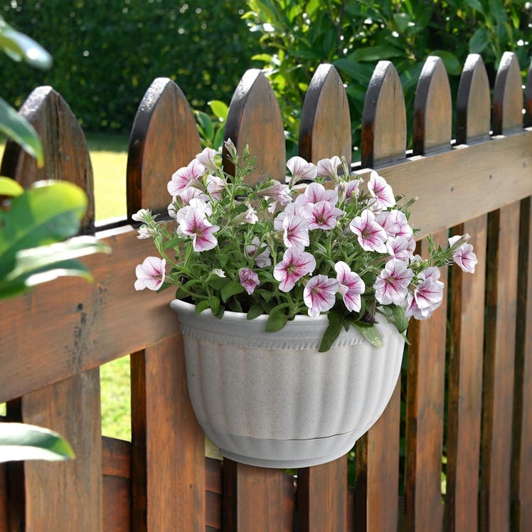 T4U Fence & Wall Planters (Set of 4)