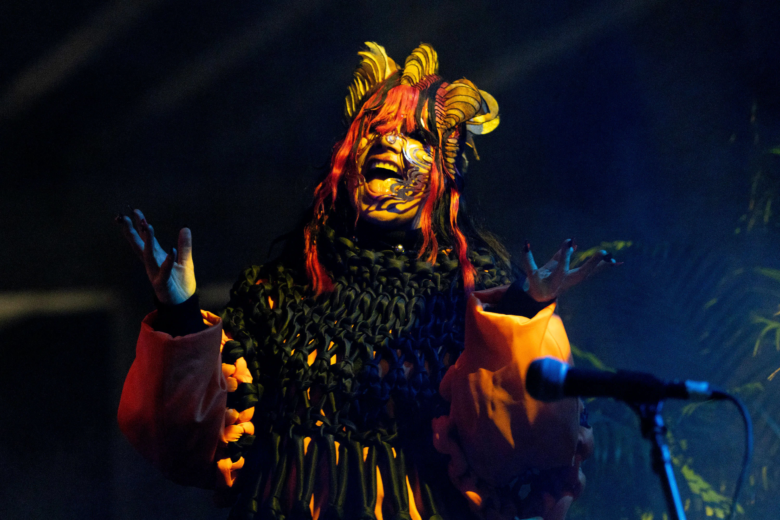 Bjork's Brooklyn 