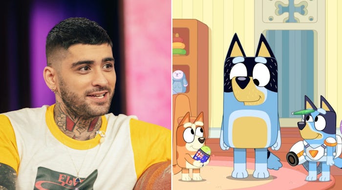 Zayn Malik and a screenshot of Bluey