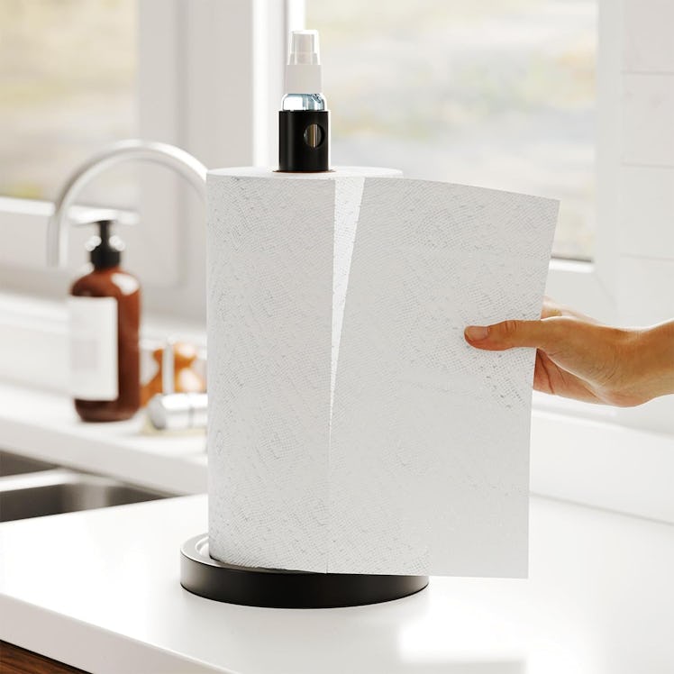 SpaceAid 2-in-1 Paper Towel Holder with Spray Bottle