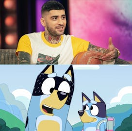 Zayn Malik on Kelly Clarkson's talk show above an image of Bandit and Bluey.