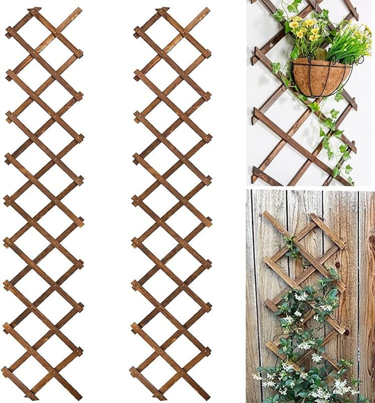 Avalution Wooden Lattice (2-Pack)