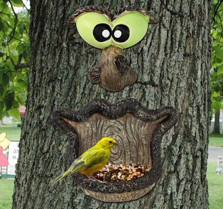 ALLADINBOX Bird Feeder