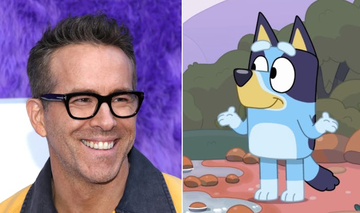 Ryan Reynolds and a still from 'Bluey.'