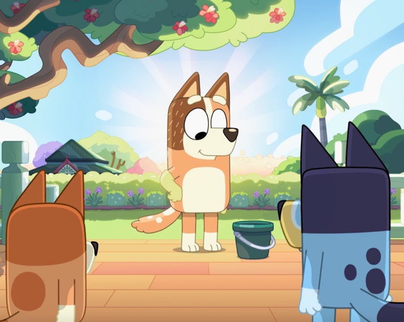 Chilli stands on a freshly cleaned verandah with the sun shining behind her Bluey and Bingo look on.