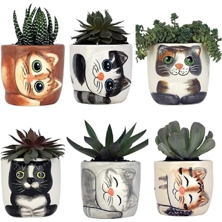 Window Garden Cute Cat Planter Pot  (6-Pack)