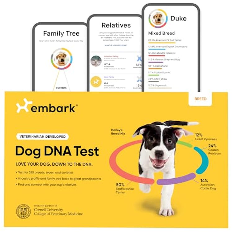 Embark Breed Identification Kit