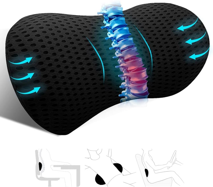 kasney Lumbar Support Pillow