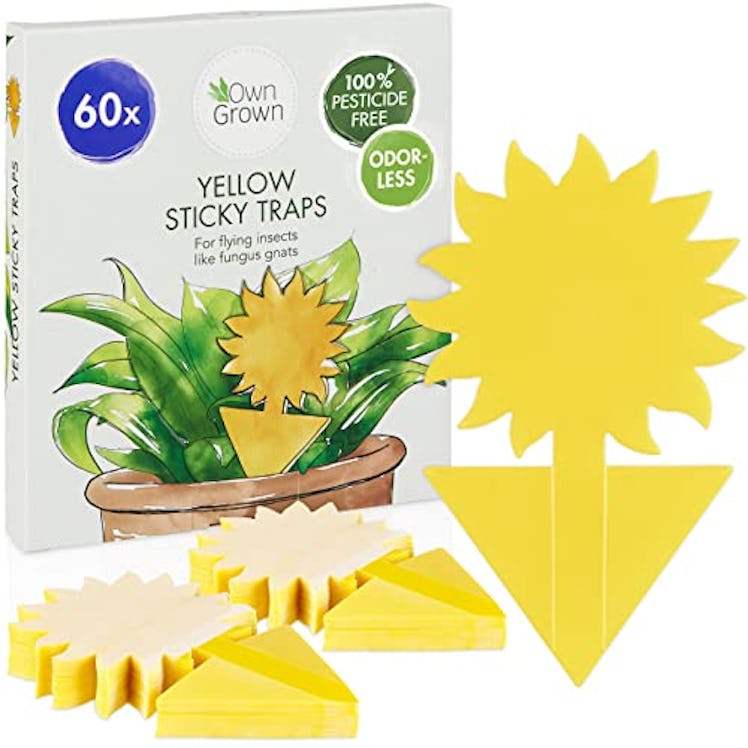 OwnGrown Yellow Sticky Bug Traps (60-Pack)