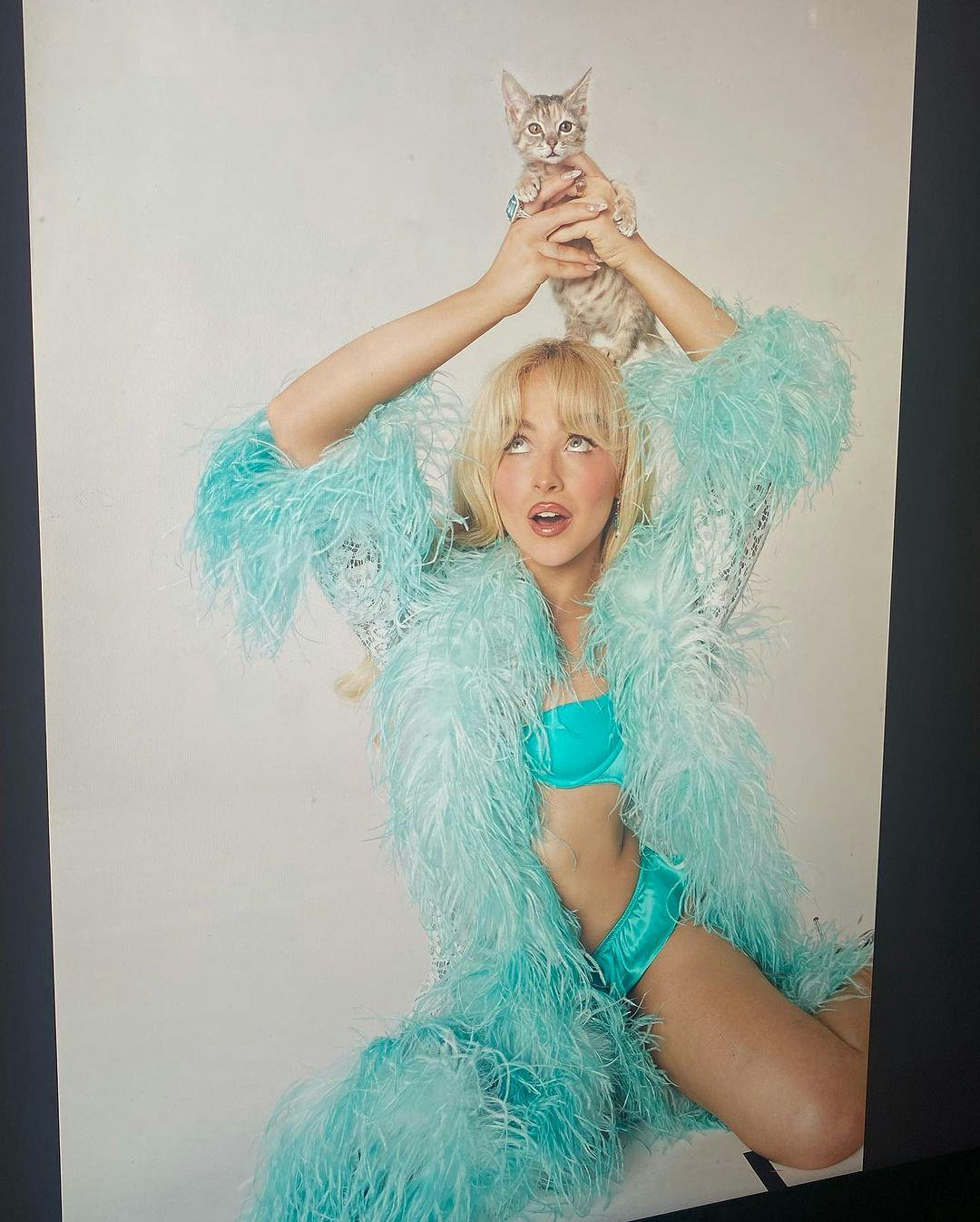 Sabrina carpenter and a kitten