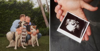 Colton Underwood Is Expecting His First Baby With Husband Jordan C. Brown