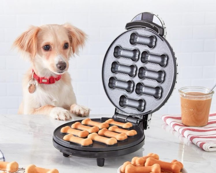 DASH Dog Treat Maker