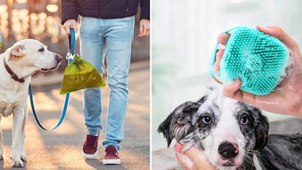 The 35 weirdest, most clever things for your dog on Amazon you never knew existed