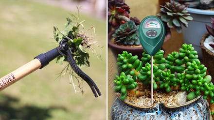 Gardeners say you should never do these things in your yard — & here's what to do instead
