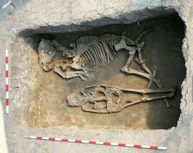 Burial with a horse at the Rákóczifalva site, Hungary (8th century AD).