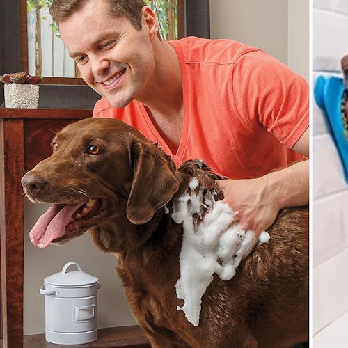 30 Things You're Accidentally Neglecting With Your Dog — & It's Costing You Money & Hassle