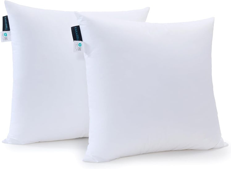 KAKABELL 18x18 Pillows Insert (2-Pack)