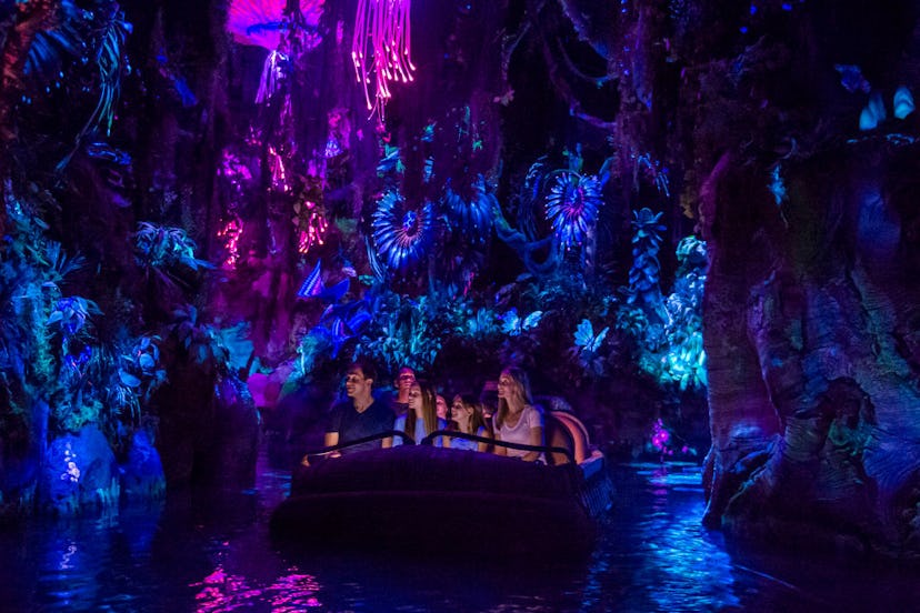 Pandora: World of Avatar attraction inside Disneys Animal Kingdom