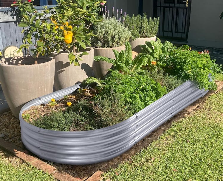 Land Guard Raised Garden Box