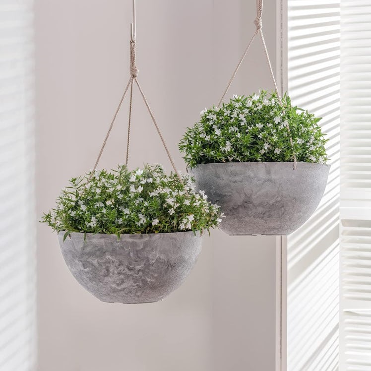 La Jolie Muse Hanging Planters (2-Pack)