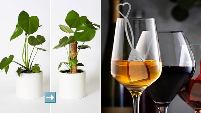 60 Insanely Cheap Things That Are So Hot On Amazon