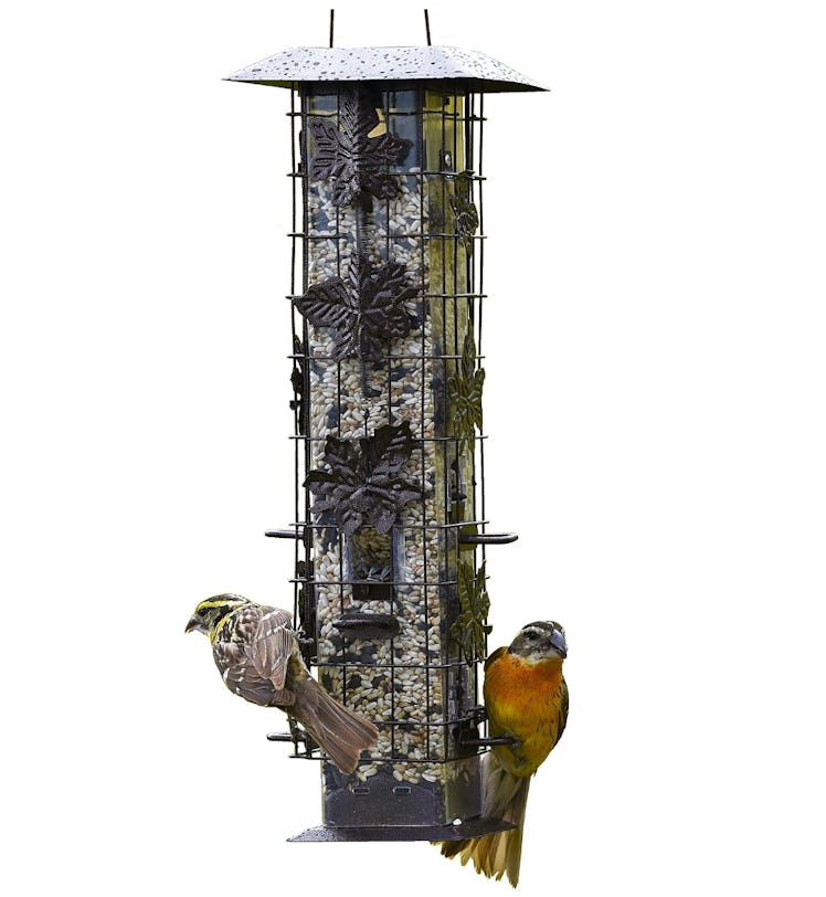 Perky-Pet Squirrel-Be-Gone Bird Feeder