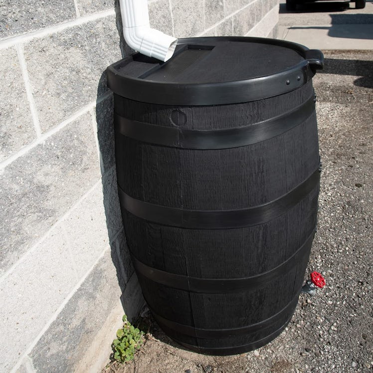 RTS Companies Inc. Rain Barrel