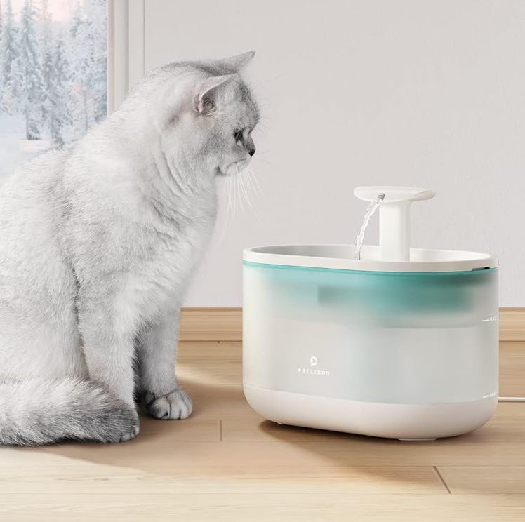 PETLIBRO Cat Water Fountain