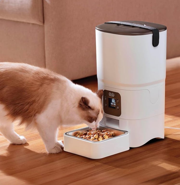 Pitpet Automatic Cat Feeder