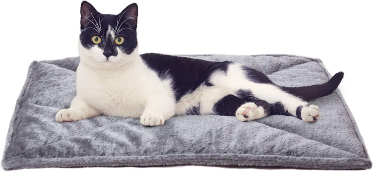 FurHaven Self-Warming Cat Bed