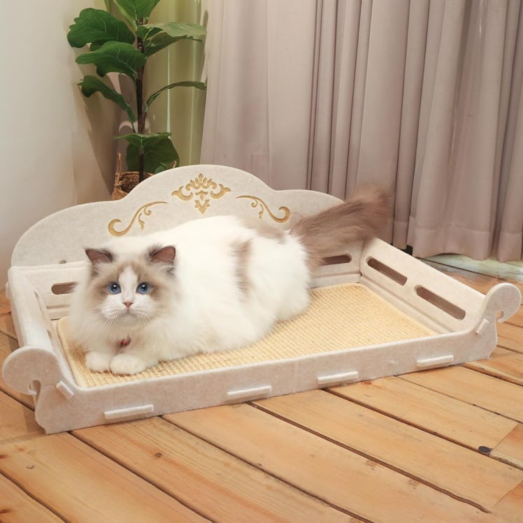 ComSaf Large Cat Scratcher Bed