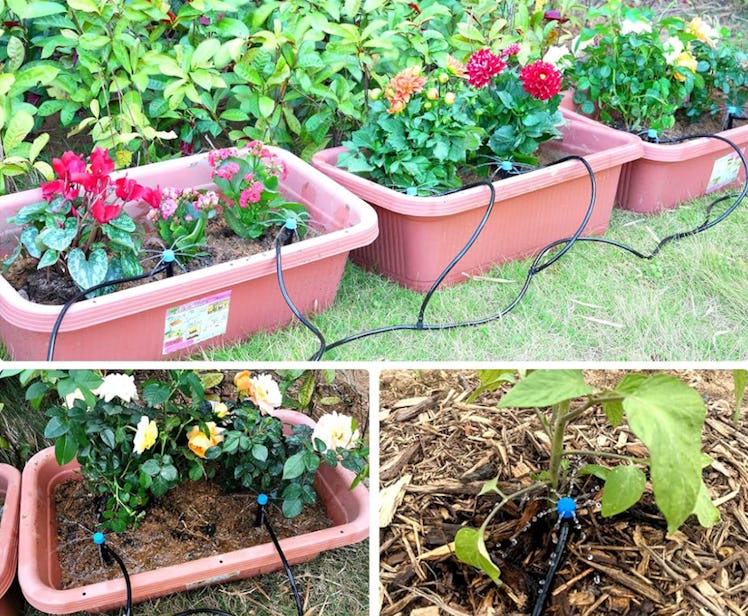  HIRALIY 50ft Drip Irrigation Kit