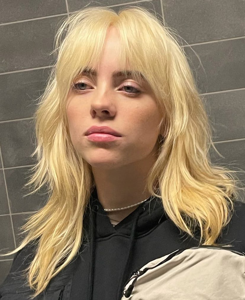 These 100 celeb hairstyles include shags, bangs, bobs, and more.