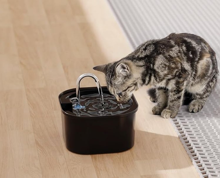 PEKTACO Pet Water Fountain