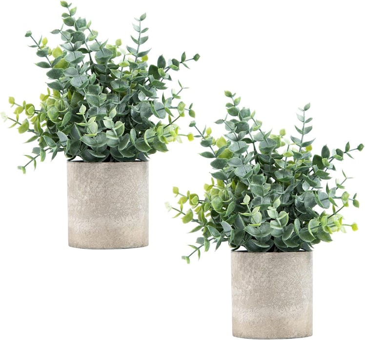 Coferset Fake Eucalyptus Plants (2-Pack)