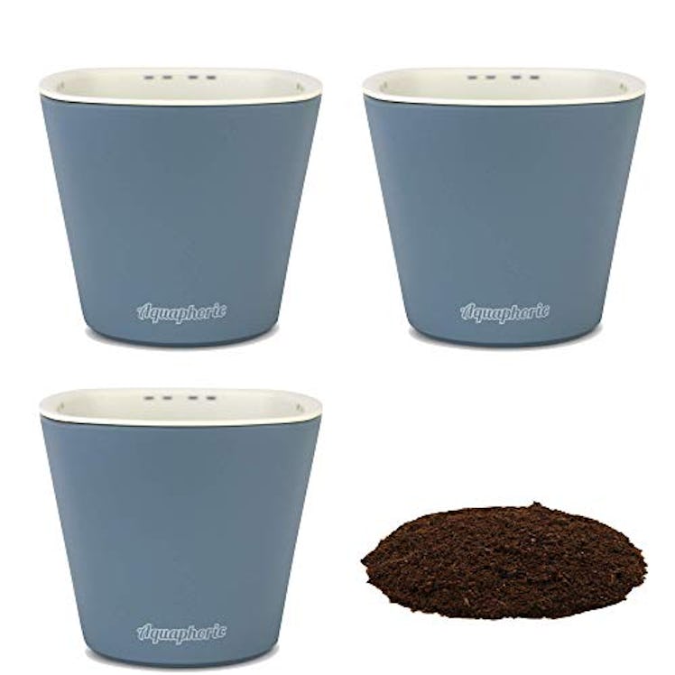 Window Garden Aquaphoric Self Watering Mini Planter Pots (3 Pack)