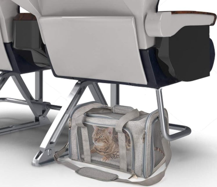 Henkelion TSA-Approved Pet Carrier