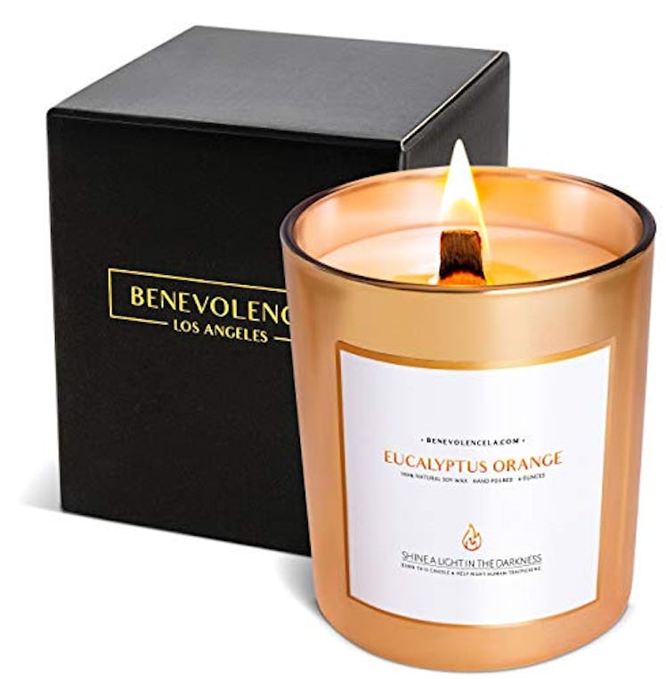 Benevolence Candles Eucalyptus Orange Wood Wick Candle