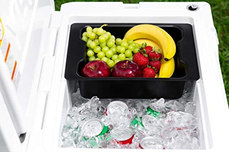  BEAST COOLER ACCESSORIES Solid Plastic Dry Goods Tray