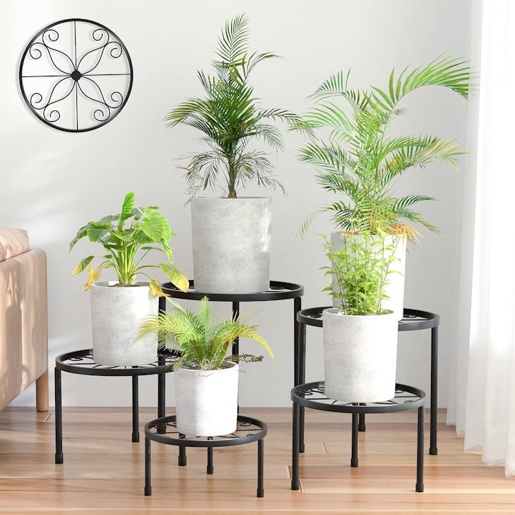 Linpla Metal Plant Stands (Set Of 5)