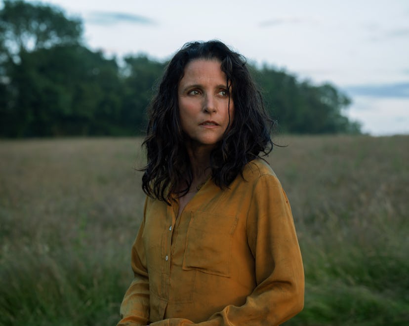 Julia Louis-Dreyfus as Zora in 'Tuesday.'