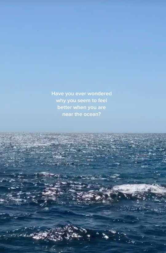 What is the blue mind theory from TikTok?