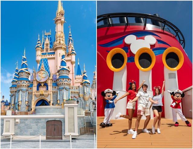 Many families opt for either a Disney World trip of Disney cruise for vacation.