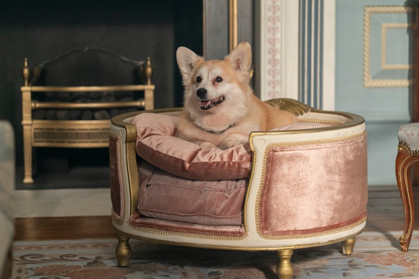 ‘Bridgerton’ Season 4’s Release Date May Be In 2026