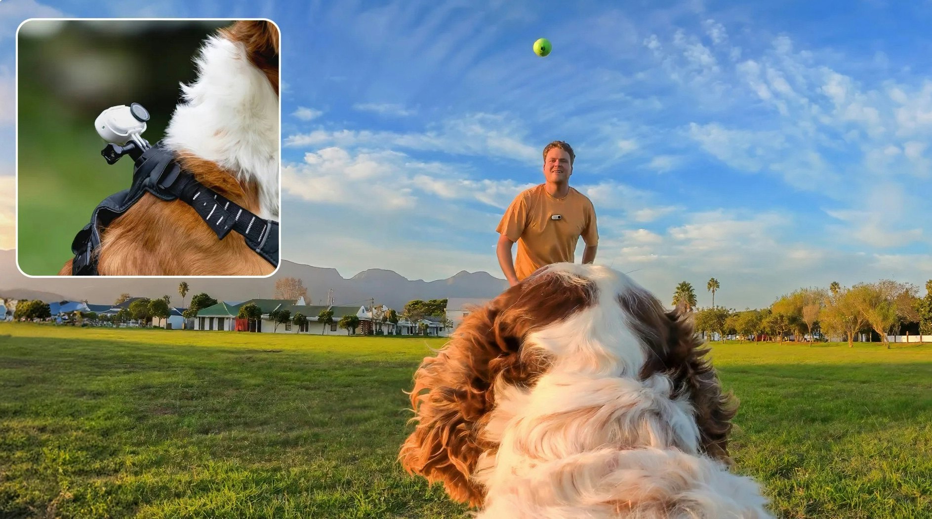 Insta360’s Go 3S With 4K Video Is the Best Way To Spy on Your Pets