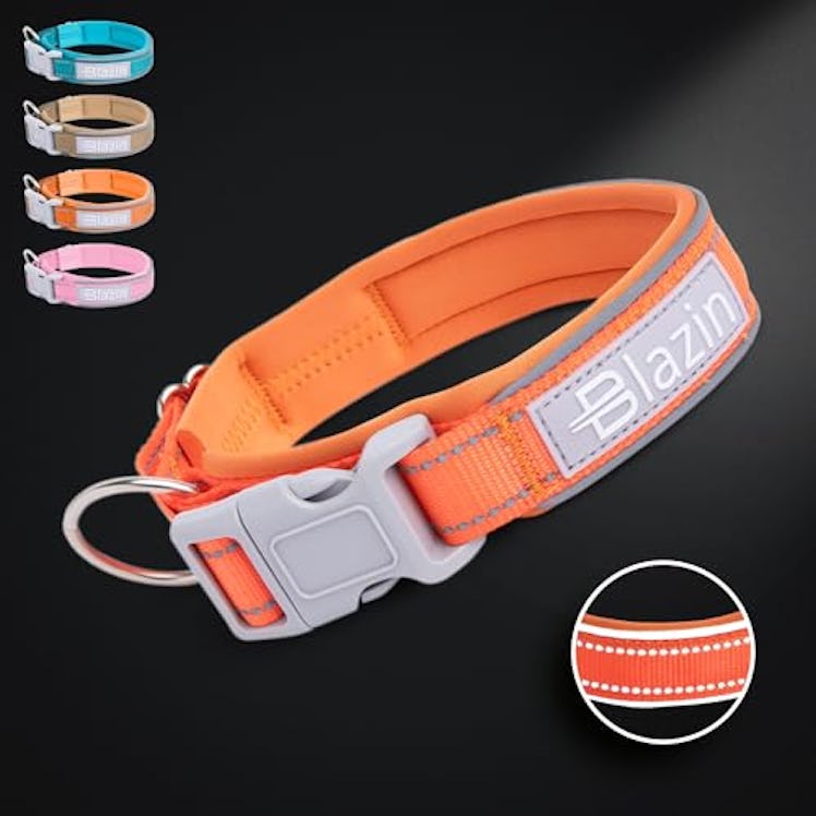 BLAZIN 'O So Comfy' Reflective Dog Collar