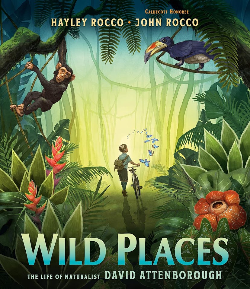 'Wild Places: The Life of Naturalist David Attenborough'